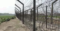 কুড়িগ্রাম সীমান্তে বিএসএফের হাতে দুই বাংলাদেশি আটক