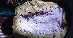 মহম্মদপুরে অবসরপ্রাপ্ত বিজিবি সদস্যের স্ত্রীর আত্মহত্যা 