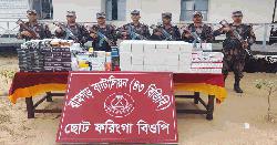 মীরসরাই সীমান্তে বিজিবির অভিযান: ৫৩ লক্ষাধিক টাকার ভারতীয় ওষুধ জব্দ