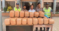 আশুগঞ্জে ১২০ কেজি গাঁজাসহ গ্রেপ্তার ২ 