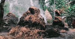 বাউফলে ৮টি খড়ের গাদায় আগুন দিলো দুর্বৃত্তরা  