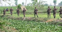 শ্যামনগর সীমান্তে বিজিবির কড়া নজরদারি