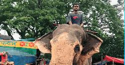 সলঙ্গায় হাতি দিয়ে অভিনব চাঁদাবাজি, ভোগান্তিতে জনসাধারণ