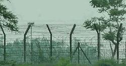 সীমান্তে ভারতীয় নাগরিককে ফেরত দিল বিজিবি
