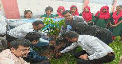 ফুলবাড়ীয়ায় মাধ্যমিক স্তরের ১২৮ শিক্ষা প্রতিষ্ঠানে একযোগে বৃক্ষরোপন