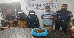 মহিপুরে গাঁজাসহ তিন মাদক ব্যবসায়ী গ্রেপ্তার