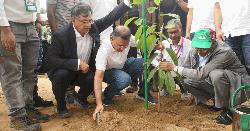 দেশব্যাপী ২৫ কোটি বৃক্ষরোপণ কর্মসূচির উদ্বোধন প্রধানমন্ত্রীর