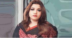 যুক্তরাষ্ট্রে গেলেন পররাষ্ট্র প্রতিমন্ত্রী