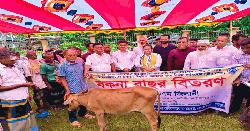 কোটালীপাড়ায় ৬০ প্রান্তিক জেলে পেল বকনা বাছুর
