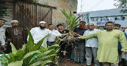 আমতলীতে ফলজ-বনজ গাছের চারা বীজ ও সার বিতরন