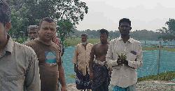 রাজবাড়ীতে কৃষকের সবজি ক্ষেত ধ্বংসের অভিযোগ