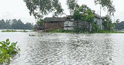 ঢলের পানিতে ভাসছে কুড়িগ্রাম, চরম দুর্ভোগে ১০ হাজার মানুষ