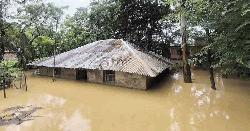 অতিবৃষ্টি ও পাহাড়ি ঢলে ৭ জেলায় বন্যা, প্রাণহানি বেড়ে ৪৪