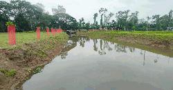 উলিপুরে  খাল খননে ফিরল কৃষির সুদিন