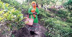 তনু হত্যা মামলায় আরও ২ সন্দেহভাজনের ডিএনএ সংগ্রহের নির্দেশ