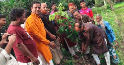 চাঁপাইনবাবগঞ্জে জেলা বিএনপির মাসব্যাপী বৃক্ষরোপণ কর্মসূচির উদ্বোধন