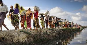 রোহিঙ্গা সংকট: উত্তরণের উপায় অনুসন্ধান